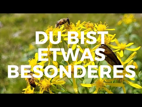 Du bist etwas Besonderes | Du bist wertvoll | Geführte Meditation