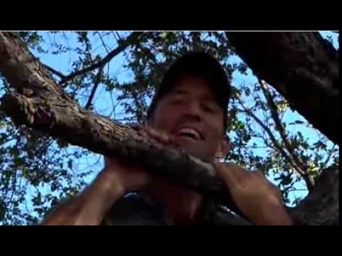 Apr 29 WildEarth Sunset SafariLIVE Vervet monkeys, Jupiter, Tingana