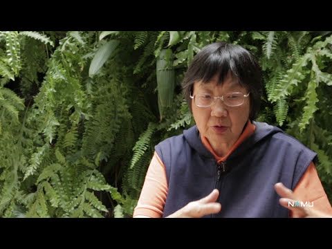 Lucia Lee: o foco não é doença