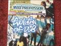 Mad´Professore Evolution Of Dub