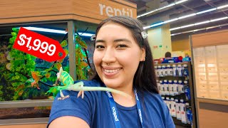 We visited the largest pet store in Mexico, (PETCO)
