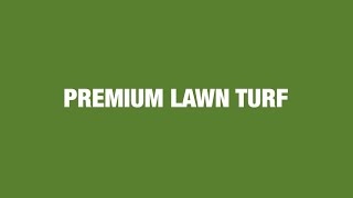 London Premium Lawn Turf