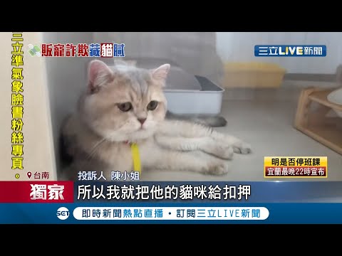 特寵業者爭議名單彙整 寵物板 Dcard