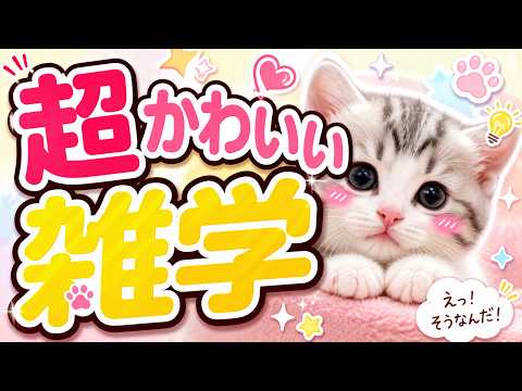 超かわいい雑学