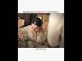 Kabhi Main Kabhi Tum X ROMANTIC EPISODE 🥹 Kabhimainkabhitum Pakistanidrama Drama Shorts