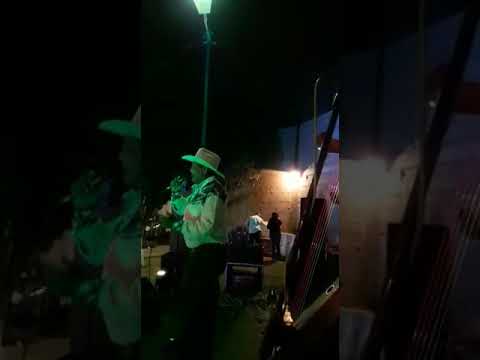 Argenis Salazar Cucarachero Araucano