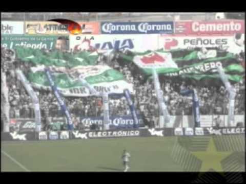 MUSICAL ES HORA DE GANAR.mpg