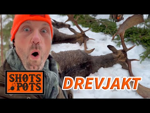 FYRA DOVHJORTAR I FÖRSTA SÅTEN