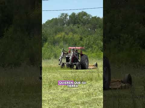 Calamuchita, Córdoba, Villa Quillinzo, loteo costanera, Toledo inmobiliaria. 3571346014