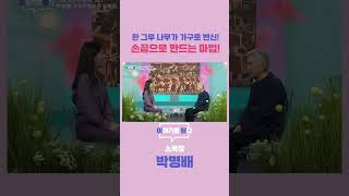 [이야기를 담다] 한 그루 나무가 가구로 변신! 손끝으로 만드는 마법!