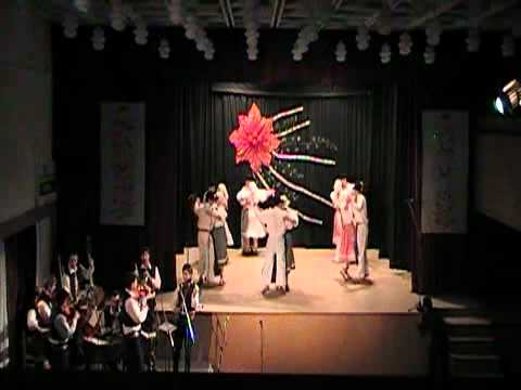 O vine - FS Kalina (2009)