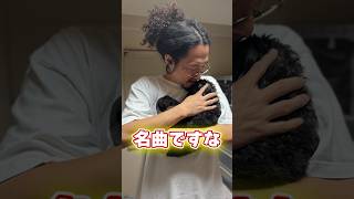 【100の質問】88こ目 #まぐにぃ #shorts #実写