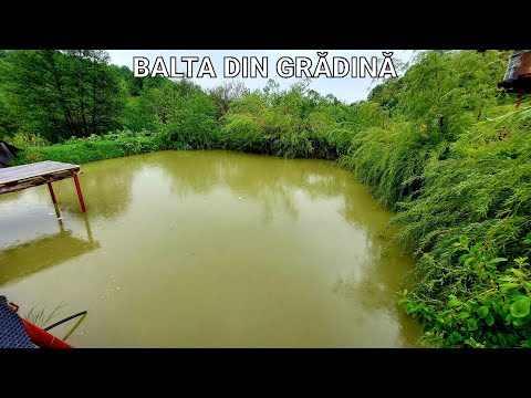The pond in the garden - Water source for any lake without a spring!