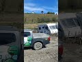 Heartbreak In Hawkes Bay New Zealand