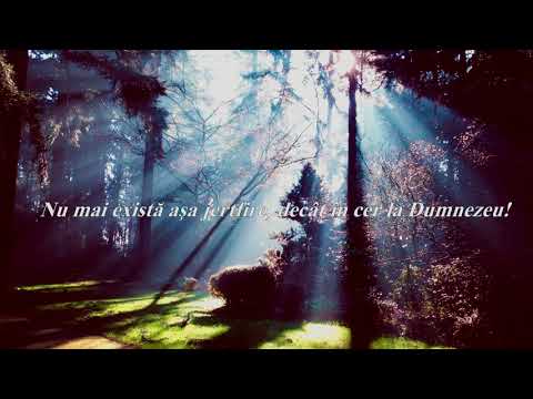 Emanuela Birte  - Jertfa Ta ma face fericit