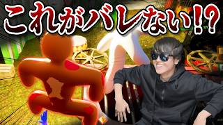 【めっちゃカメレオン】こんなポーズで目の前にいるのにバレないのすごすぎwww
