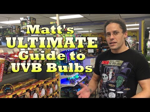 Matt's ULTIMATE Guide to UVB Bulbs!