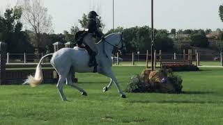 London Fog Hunter Derby