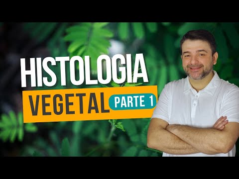 Histologia Vegetal - Introdução