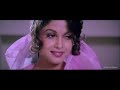 Tum Mile Dil Khile 4k Hd Video Song Criminal 1995 Alka Yagnik Kumar Sanu Nagarjuna Manisha