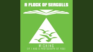Wishing (If I Had A Photograph Of You) (Extended Instrumental)