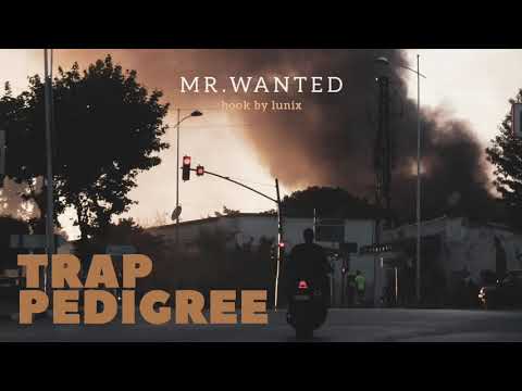 Lunix - Trap pedigree  ft. Mr wanted