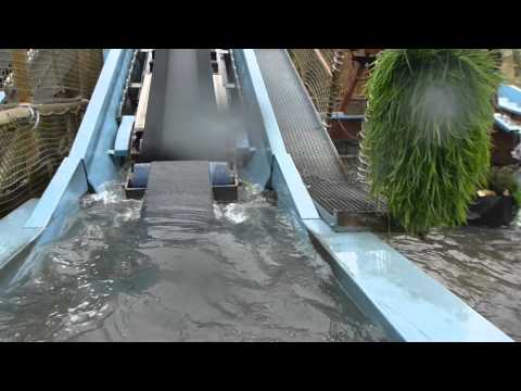 Jungle River - Drievliet