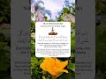 Dua For Ruqyah Sickness Evil Eye Black Magic