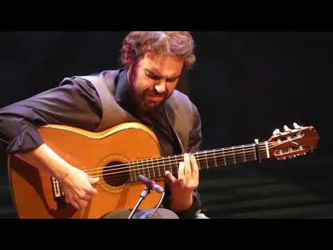 Dani de Morón - Maestro de la guitarra flamenca - 2019