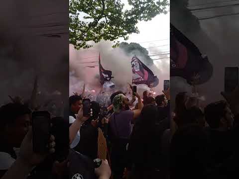 Torcida paiN Gaming na Final CBLOL 2022 2º Split - paiN Vs Loud #shorts  #cblol #lolesports #LOL