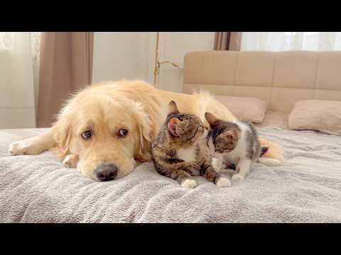 YouTube 썸네일
