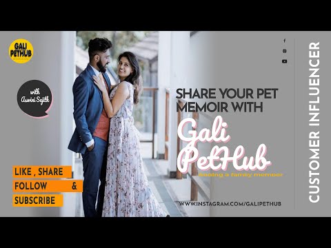 Shih Tzu Memoir Shared by Mrs.Aswini Sajith / GaliPetHub / Fromindiah / Puppy