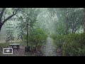Rainy Day Walking Tour In The Park Heavy Rain Sounds For Sleeping Rain Walks Compilation