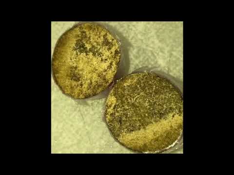 C.MANSON x JOWWI LEE - MAKERS