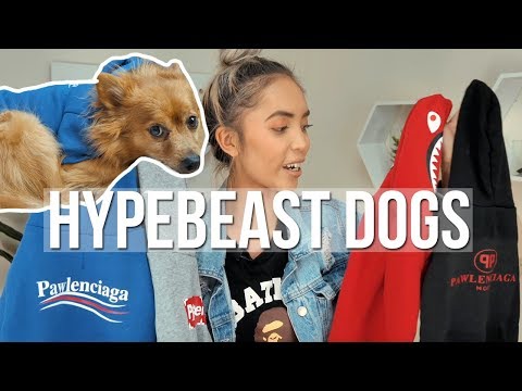 download lagu mp3 mp4 Streetwear Dog Collar, download lagu Streetwear Dog Collar gratis, unduh video klip Streetwear Dog Collar