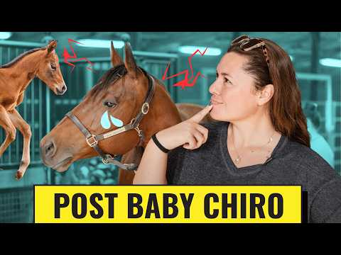 Do Horses Need A Chiropractor??