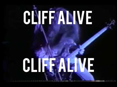 SNAP BACK TO REALITY