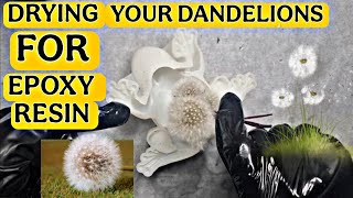 YOU Should Use This Type of EPOXY RESIN For Preserving DANDELIONS In One Go....
