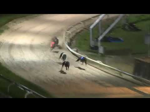 Slaneyside Izzy - Coral 740m