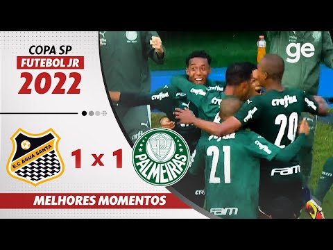 Gols e lances de Água Santa x Palmeiras