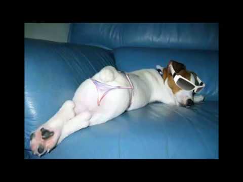 VINES and Keeks [2013]