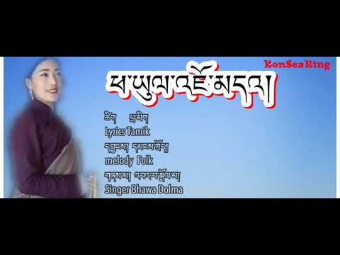 Tibetan New Song 2019| Phayul Jodha| Lyrics