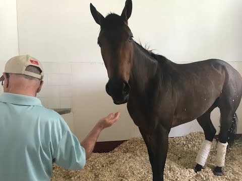 Forever Unbridled Unbridled Forever   Jay Parmar, Henrik Bath, Guest Solo Dave Reffett   Final v2