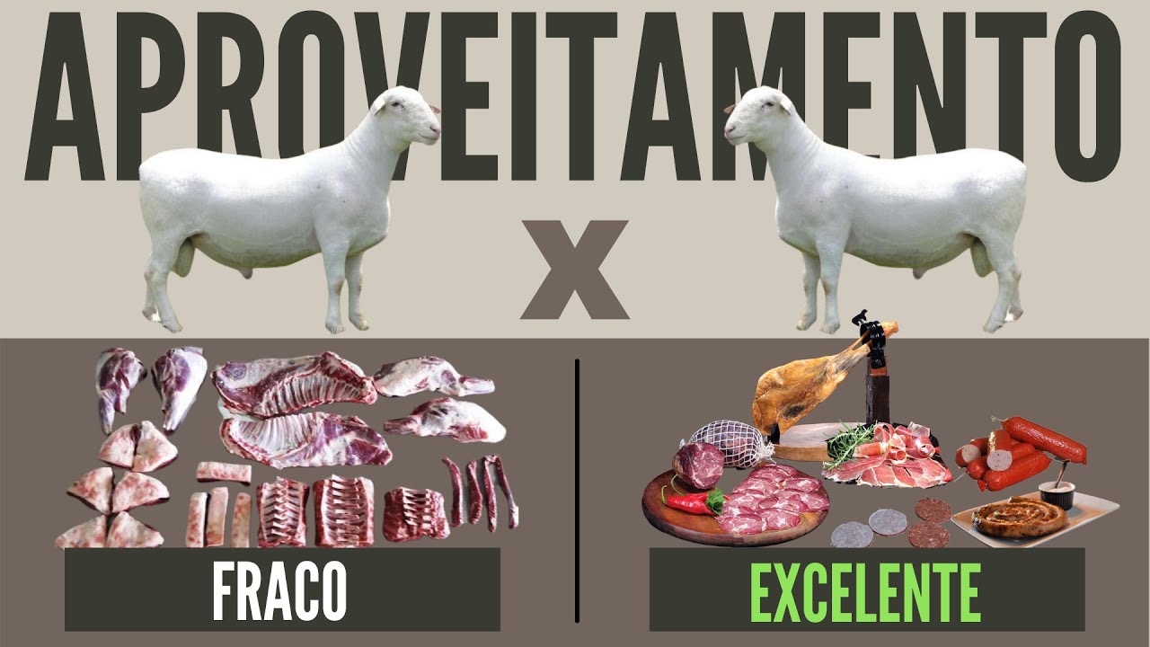 Aproveitamento Total da Carne de Ovinos!