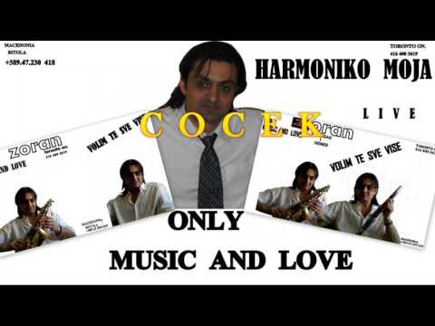 '''' HARMONIKO  MOJA''''  L I V E  '' ZORAN  J   Original Verzija'''Milutin Mića Stojanović ''''