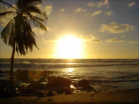 Marcus Schossow & Matias Lehtola - Unknown ID Live at Electric Zoo 2012