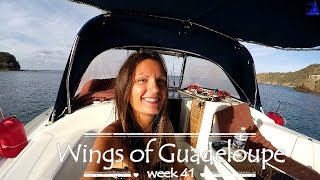 Wings of Guadeloupe by Sailing JAEKA, week 41