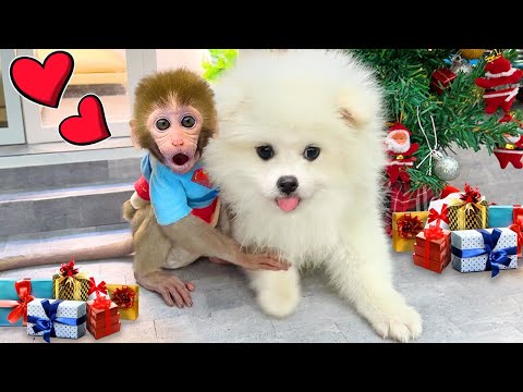 Bebé Mono BonBon juega en el parque y devuelve las mochilas a sus mejores amigos - MONO BONBON ESP