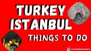 Turkey Istanbul 2023 with @estelladimpleswashere | Art coffee and cats| Travel vlog