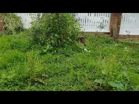 ImpressioNZ Outdoors video.